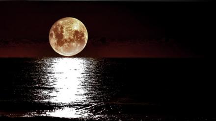 ضوء القمر ينعكس بسناه على سطح البحر 
