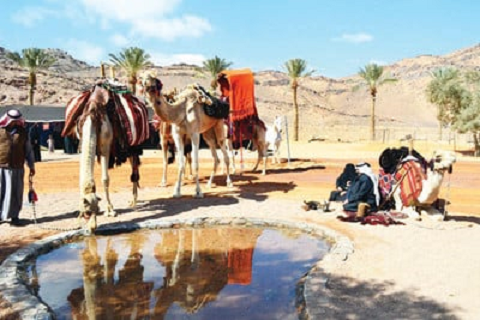 تجمع ابناء إحدى القبائل البدوية حول منابع الماء والواحات ( الإقتصادية )