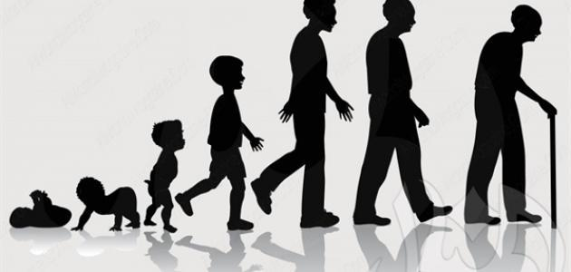 مراحل تطور النمو البشري من الطفولة إلى الكهولة