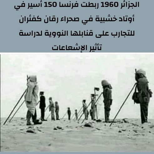 الجزائر 1960 : ربطت فرنسا 150 أسير في أوتاد خشبية في صحراء رقان كفئران للتجارب على قنابهالها النووية لدراسة الإشعاعات