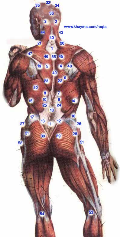 خريطة مواقع المعالجة بالحجامة في الجسم