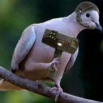 Read more about the article مكتوبك وصل 2…