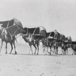 Read more about the article رحلات تدوين الحديث في القرنين الخامس والسادس – الحلقة 12