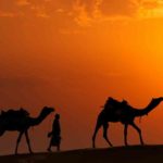 Read more about the article تدوين الحديث النبوي وعوامل نشره في الآفاق – الحلقة 7