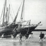 Read more about the article سنة الطفحة ..