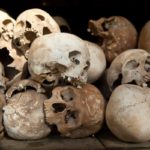 Read more about the article فظائع البشر وجبروتهم وتوحشهم