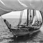 Read more about the article احتراق بوم الحمد ” السليماني “