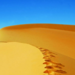 Read more about the article الموت على مذهب العجائز..نهاية الفلاسفة !