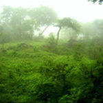 Read more about the article المهرة والكويتيون .. وفاء وأمانة وصدق