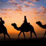 Read more about the article خدعوك بقولهم لا نقبل إلا متواتر الأحاديث دون الآحاد