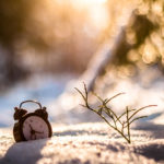 Read more about the article الوقت والغافلون عنه ..!