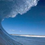 Read more about the article النهام ..أين أنت ؟