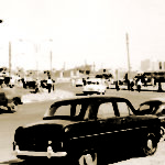 Read more about the article يا سواد العراق  .. !