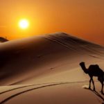 Read more about the article السرى ليلاً وآداب السفر في القرآن (5)