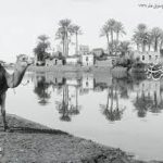 Read more about the article إرجاع الشي إلى أصله