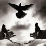 Read more about the article الأحرار والامتحان