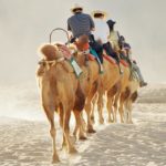 Read more about the article التاجر سليمان البحري ورحلة أول مسلم إلى الصين