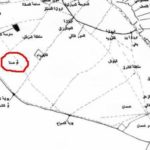 Read more about the article أم صدة والصرار بين اللهجة الكويتية والعربية