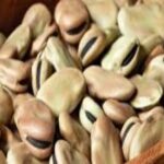 Read more about the article أمثلة كويتية .. طالع عين ثورك ، أنت تأكل واحنا نعد الطعام ! -الحلقة الثانية