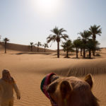 Read more about the article نصبوه سلطاناً فخطف النساء !