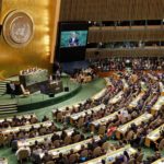 Read more about the article حاميات الطمع والجشع مستمرة