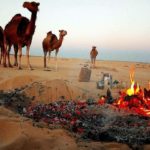 Read more about the article التغرب والهجرة من الأوطان ..