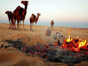 الجمر والشاي والجمال ..بيئة صحراوية فاتنة الجمال
