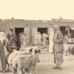 Read more about the article الشيخ مبارك رفع اسعار اللحم لخفضها !