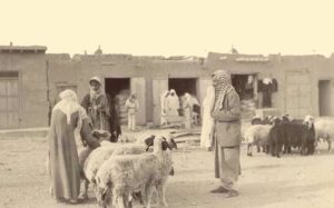 الشاوي والرعي بالإغنام خارج مدينة الكويت ويبدو السور
