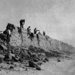 Read more about the article فنجان قهوة يثير الذعر بمجلس أمير الكويت !