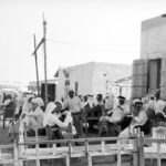 Read more about the article حلقات الدراسات والبحوث والتقارير التاريخية في تراثنا