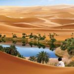 Read more about the article امرؤ القيس ومكيدة قيصر الروم