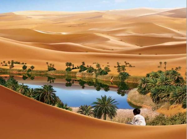 واحة في الصحراء 