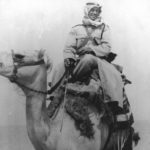 Read more about the article السبور ..عيون الشيوخ !