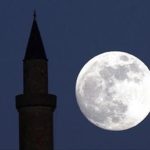 Read more about the article فوبيا الإسلام ورسوم الإساءة للنبي عليه الصلاة والسلام