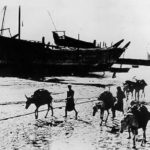 Read more about the article لؤلؤة نادرة تلتصق بنعال علي الدوب على الشاطيء