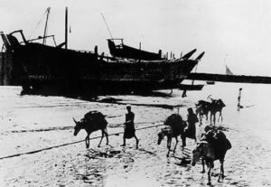 ساحل خليج الكويت وتبدو السفن راسية على الشاطيء