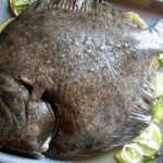 Read more about the article جلسة برلمانية طارئة ليلاً لطهي سمكة