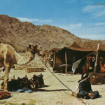 Read more about the article آداب شرب القهوة ومعنى هز الفنجان عند البدو – الحلقة 2