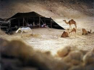البادية وأهل الصحراء