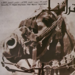 Read more about the article جديد مجلة تراثنا في عدد شهري مارس وإبريل 2021