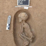 Read more about the article العثور على 100 مقبرة في مصر لعصر ما قبل الأسرات