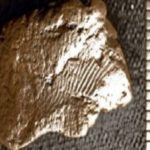 Read more about the article بصمة بشرية على فخار باسكتلندا تعود لخمسة آلاف عام