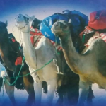 Read more about the article فهرس كتب الرحلات إلى الخليج العربي والعالم العربي وإلإسلامي