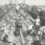 Read more about the article الأنساب والعادات الكويتية والنصوص العربية في طليعة المشاهدات