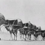 Read more about the article 12 كتاب يوثق رحلات العرب والمستشرقين في بلاد الشرق والغرب