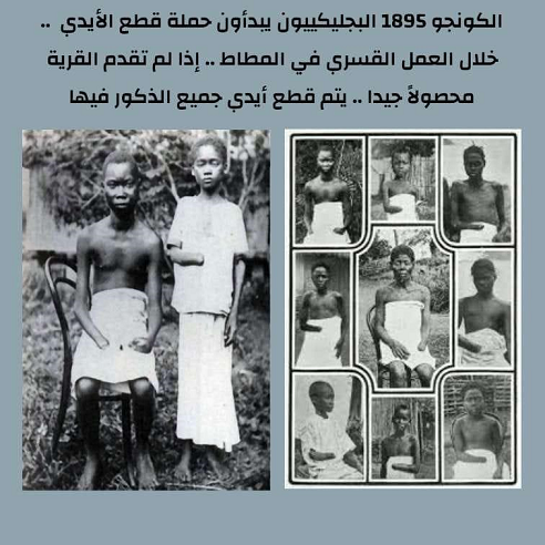 الكونجو 1895 : البلجيكيون يبدأون حملة قطع الأيدي ..خلال حمل العمل القسري في المطاط ..إذا لم تقدم القرية محصولا جيدا ..يتم قطع أيدي جميع الذكور فيها