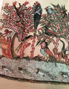 نسخة نادرة من كتاب عجايب الهند لمؤلفه بزرك بوشهريار الرامهرمزي طبع عام 1886-1888م في هولندة