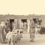 Read more about the article هجرة آل صباح من نجد و استيطانهم  تحت حكم بني عريعر