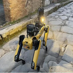 Read more about the article كلب آلي لمراقبة سراق آثار مدينة الخطايا الإيطالية